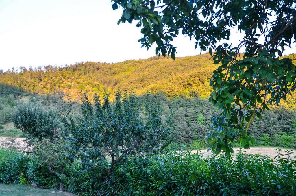 פייטרלונגה Agriturismo Cailuca מראה חיצוני תמונה